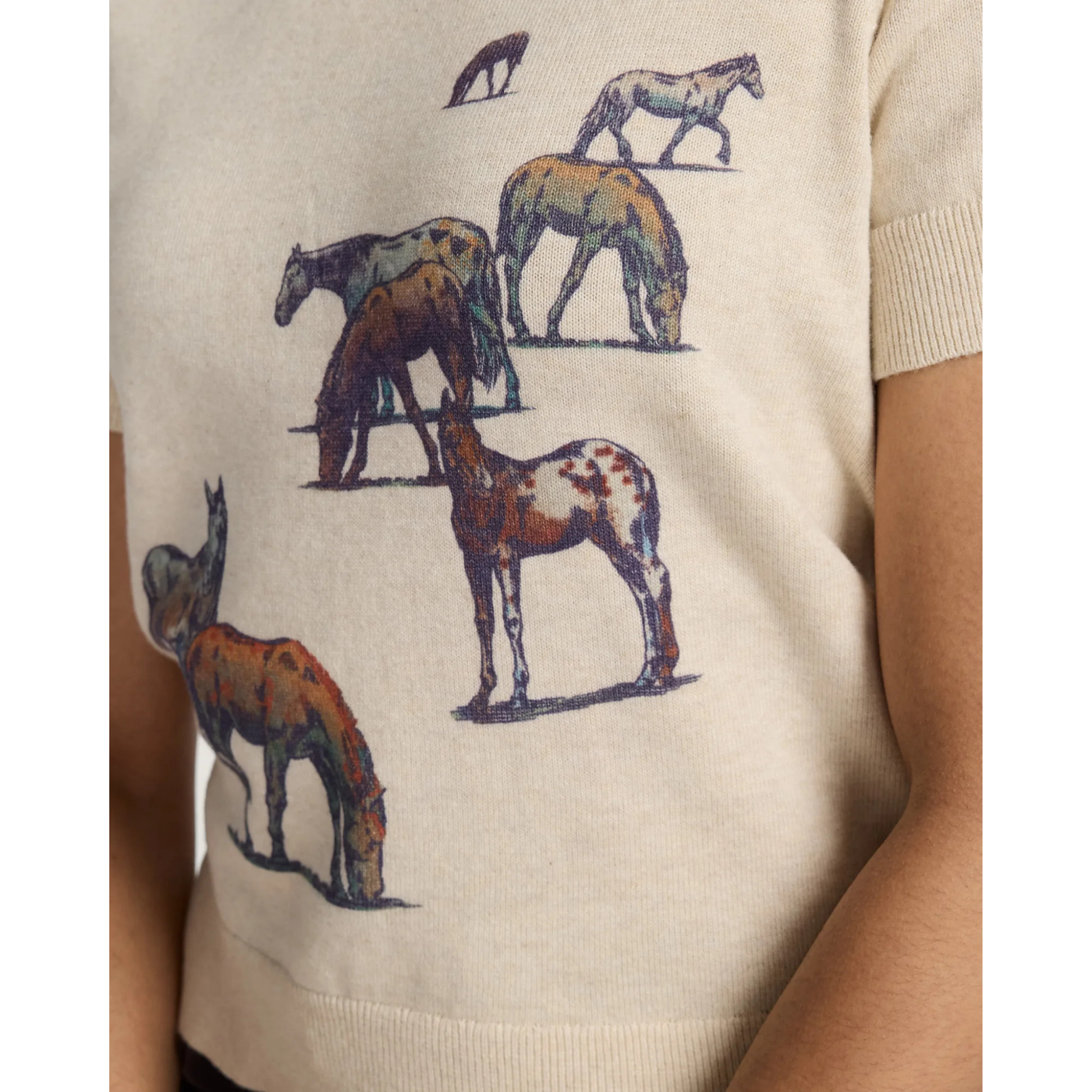 Wild Horse Sweater