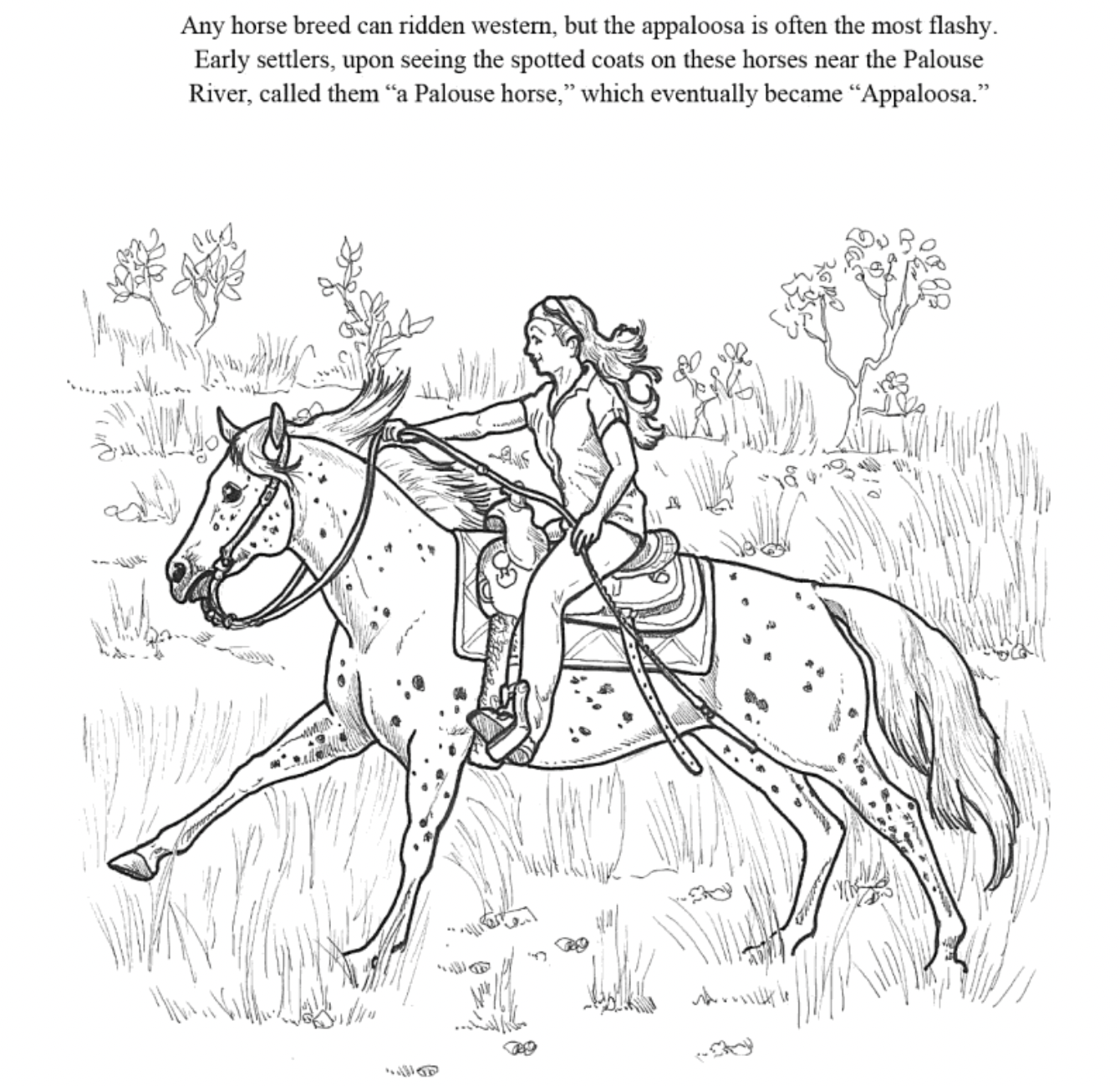I Love Western Riding Lessons Coloring Book