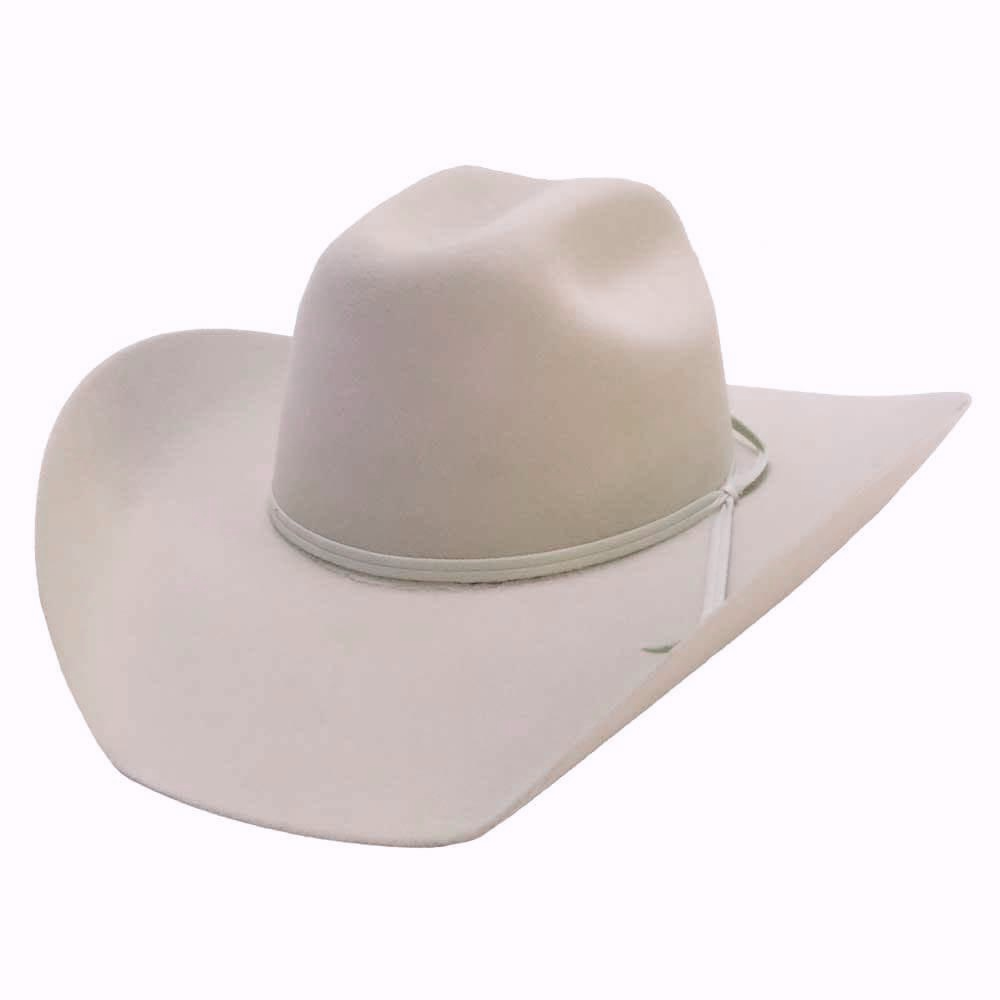 Stetson Rodeo Jr Youth Felt Hat, Buck: OSFM