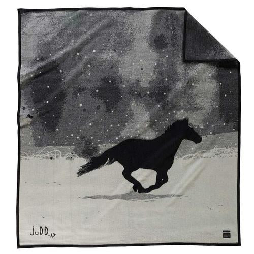 A Horse Called Paint Blanket: Throw