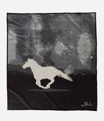 A Horse Called Paint Blanket: Throw