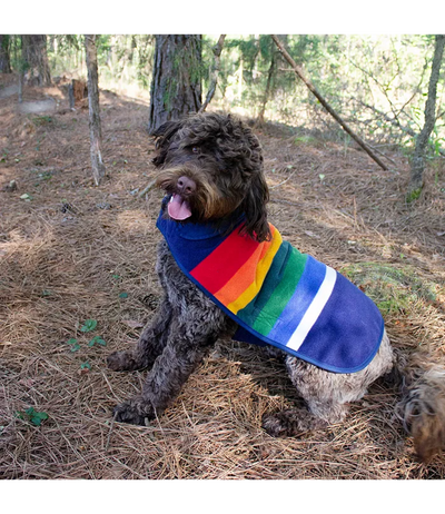 Dog Coat